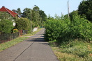 Foto: Wildwuchs dadurch Fahrbahneinengung 